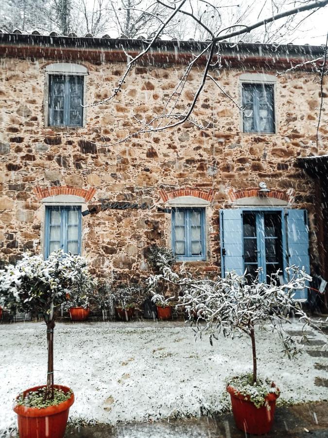 Agriturismo Tananei Marliana 外观 照片